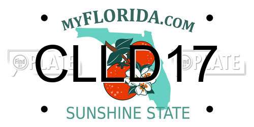 CLLD17 Florida License Plate