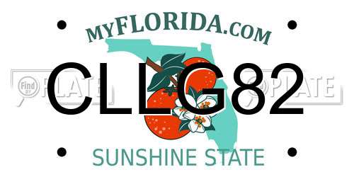 CLLG82 Florida License Plate