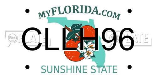 CLLH96 Florida License Plate