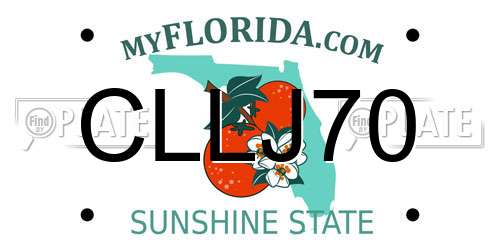 CLLJ70 Florida License Plate