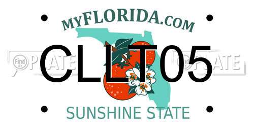 CLLT05 Florida License Plate