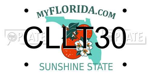 CLLT30 Florida License Plate