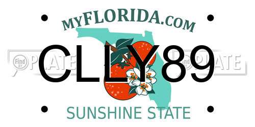 CLLY89 Florida License Plate