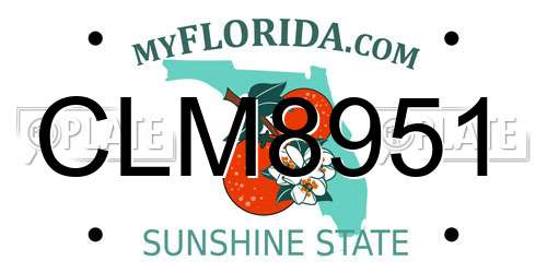 CLM8951 Florida License Plate