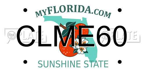 CLME60 Florida License Plate