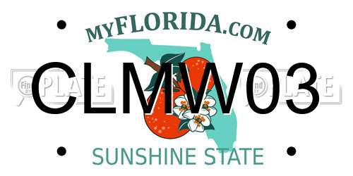 CLMW03 Florida License Plate