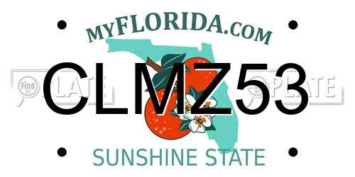 CLMZ53 Florida License Plate
