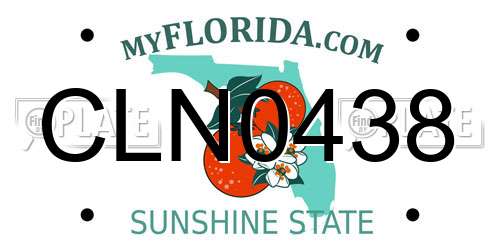 CLN0438 Florida License Plate