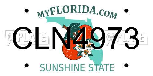CLN4973 Florida License Plate
