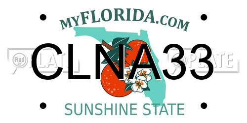 CLNA33 Florida License Plate