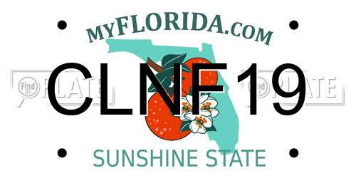 CLNF19 Florida License Plate