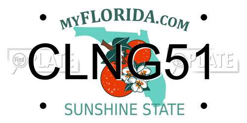 CLNG51 Florida License Plate