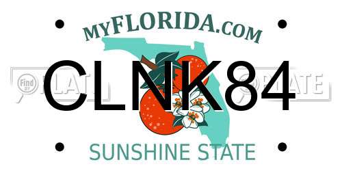 CLNK84 Florida License Plate