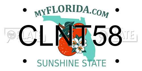 CLNT58 Florida License Plate