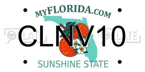 CLNV10 Florida License Plate