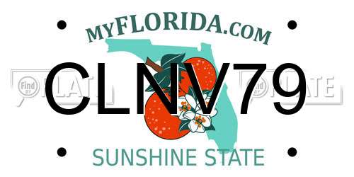 CLNV79 Florida License Plate