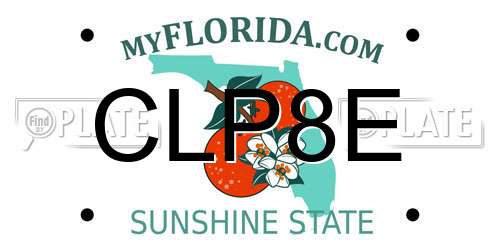 CLP8E Florida License Plate