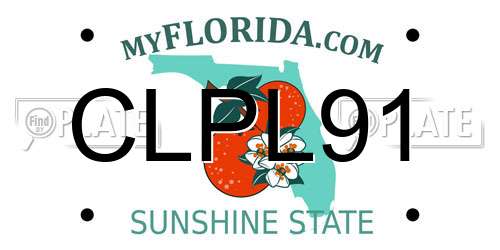 CLPL91 Florida License Plate