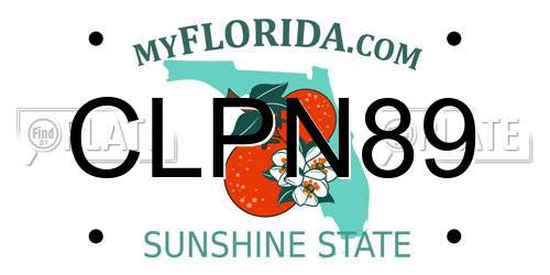 CLPN89 Florida License Plate