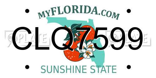 CLQ7599 Florida License Plate