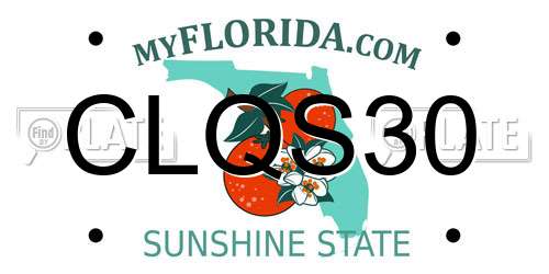 CLQS30 Florida License Plate