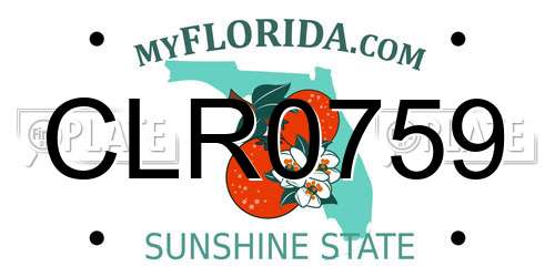 CLR0759 Florida License Plate