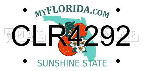 CLR4292 Florida License Plate