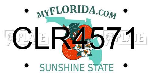 CLR4571 Florida License Plate