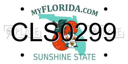 CLS0299 Florida License Plate
