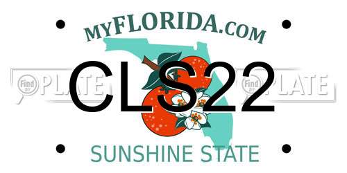 CLS22 Florida License Plate