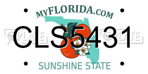 CLS5431 Florida License Plate