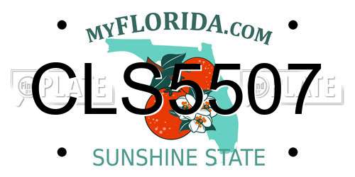 CLS5507 Florida License Plate