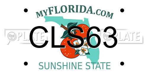 CLS63 Florida License Plate