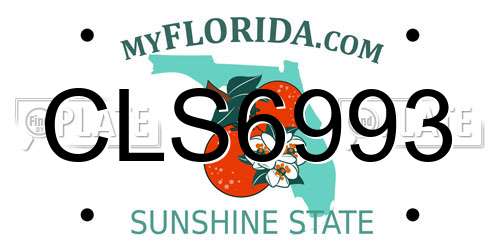 CLS6993 Florida License Plate