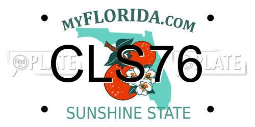 CLS76 Florida License Plate