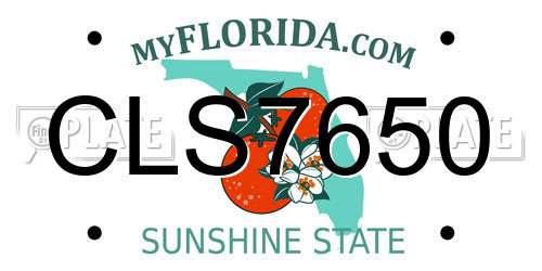 CLS7650 Florida License Plate