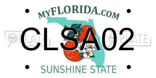 CLSA02 Florida License Plate