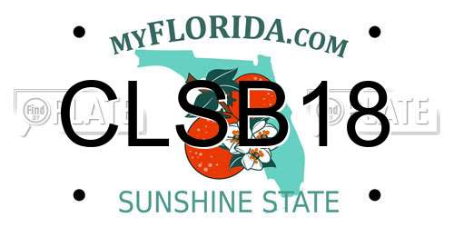 CLSB18 Florida License Plate