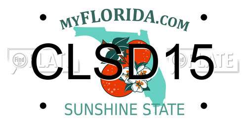 CLSD15 Florida License Plate