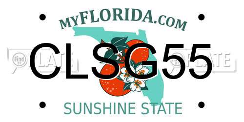 CLSG55 Florida License Plate