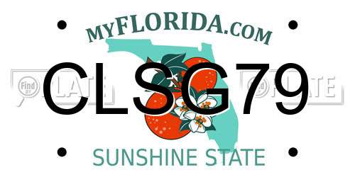 CLSG79 Florida License Plate