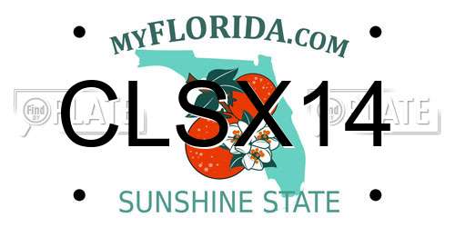 CLSX14 Florida License Plate