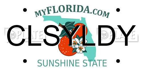 CLSYLDY Florida License Plate