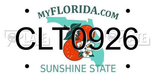 CLT0926 Florida License Plate