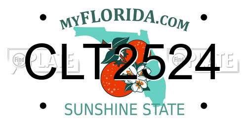CLT2524 Florida License Plate