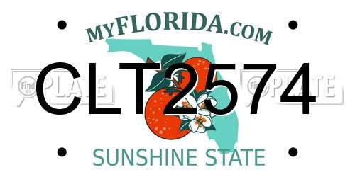 CLT2574 Florida License Plate