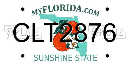 CLT2876 Florida License Plate
