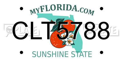 CLT5788 Florida License Plate