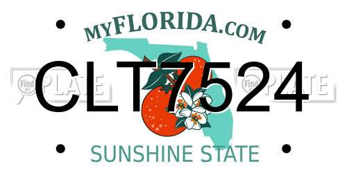 CLT7524 Florida License Plate