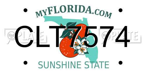 CLT7574 Florida License Plate